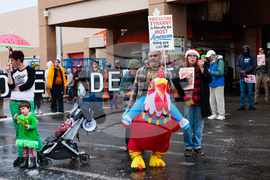 Federal Enforcement Immigration California