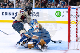 PWHL Victoire Goldeneyes Hockey