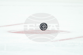 PWHL Victoire Goldeneyes Hockey