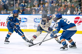 PWHL Victoire Goldeneyes Hockey