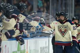 PWHL Victoire Goldeneyes Hockey