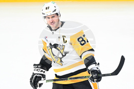 Penguins Canadiens Hockey