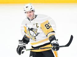 Penguins Canadiens Hockey