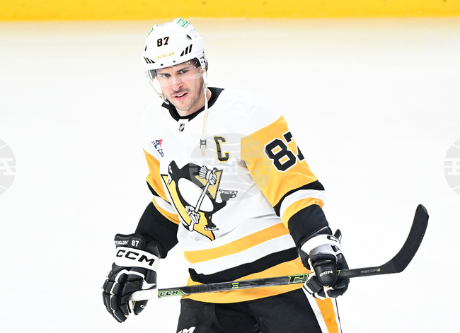 Penguins Canadiens Hockey