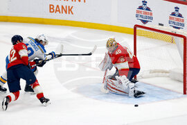 Blues Panthers Hockey