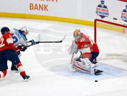 Blues Panthers Hockey