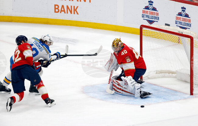 Blues Panthers Hockey