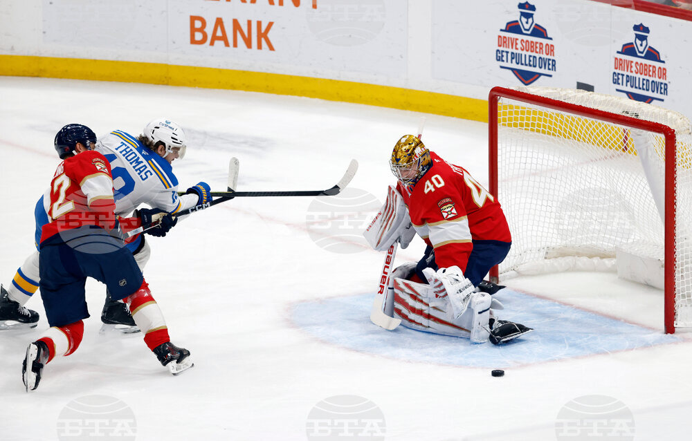 Blues Panthers Hockey