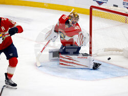 Blues Panthers Hockey