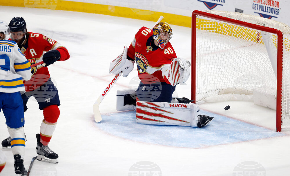 Blues Panthers Hockey