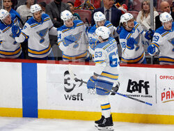 Blues Panthers Hockey