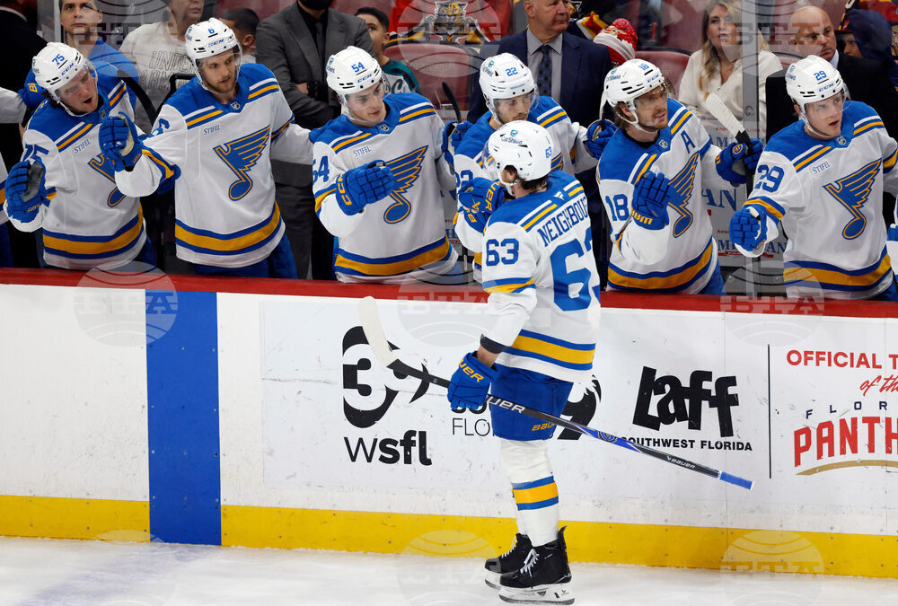 Blues Panthers Hockey