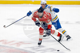 Blues Panthers Hockey