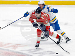 Blues Panthers Hockey