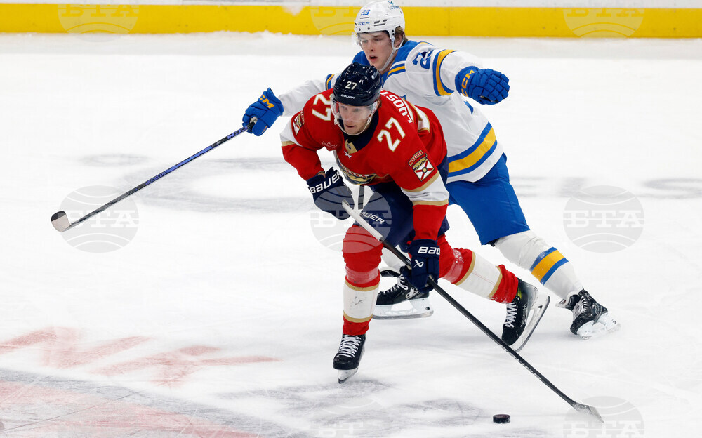 Blues Panthers Hockey