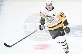 Penguins Canadiens Hockey