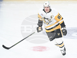 Penguins Canadiens Hockey