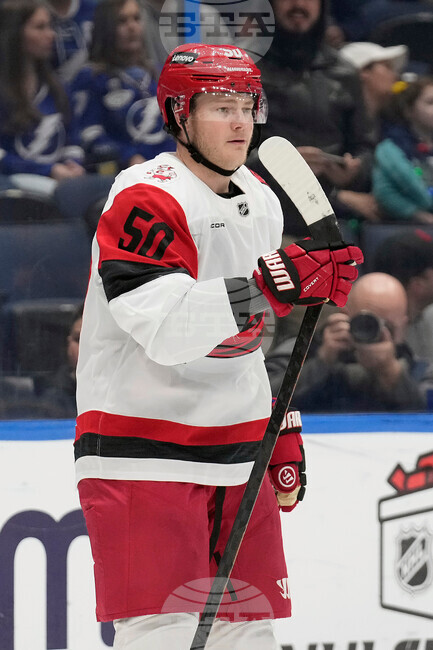 Hurricanes Lightning Hockey