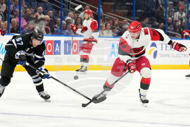 Hurricanes Lightning Hockey