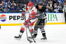 Hurricanes Lightning Hockey