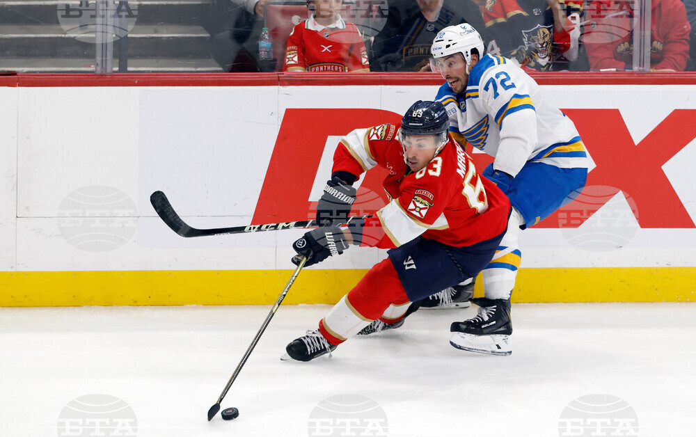 Blues Panthers Hockey