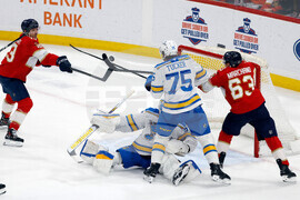 Blues Panthers Hockey