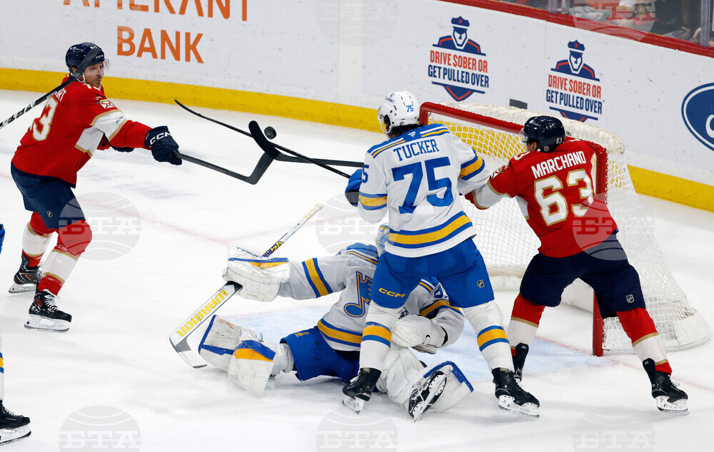 Blues Panthers Hockey