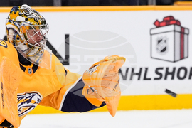 Maple Leafs Predators Hockey