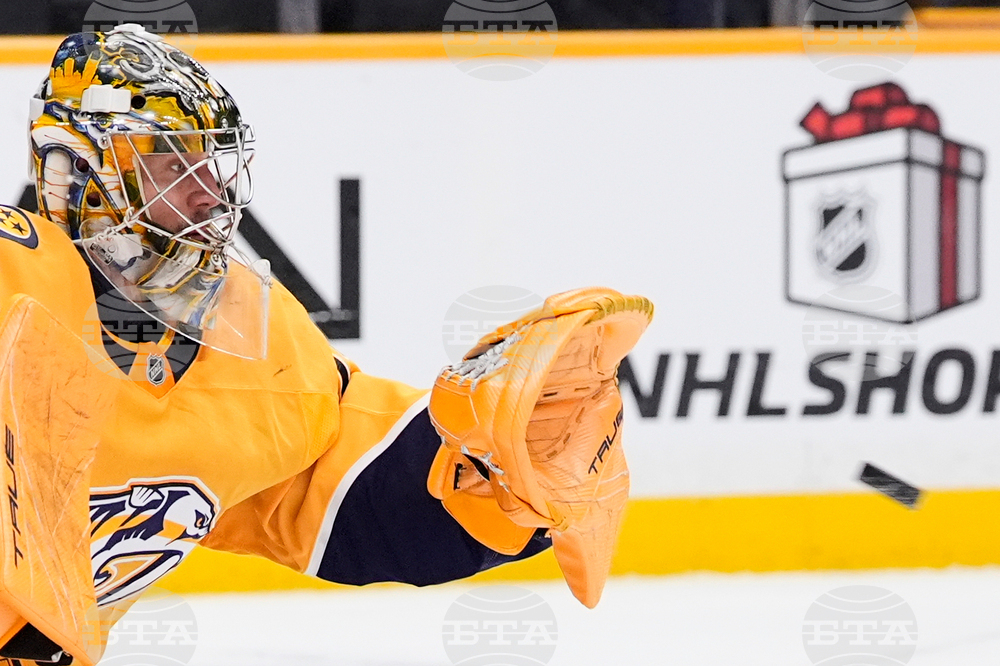 Maple Leafs Predators Hockey