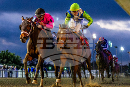 Fair Grounds Horse Racing