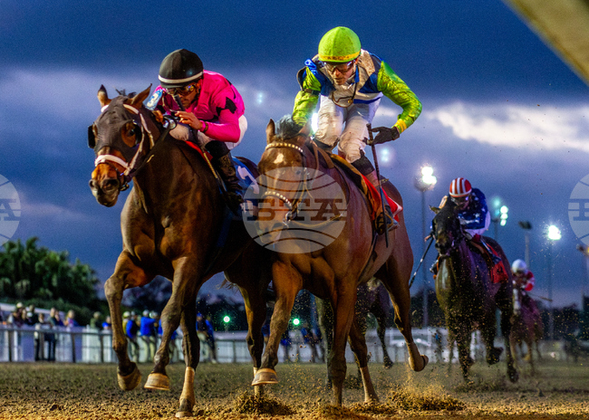 Fair Grounds Horse Racing