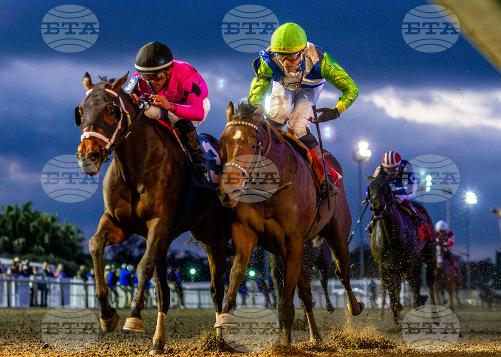 Fair Grounds Horse Racing
