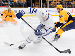 Maple Leafs Predators Hockey