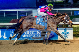 Fair Grounds Horse Racing