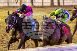 Fair Grounds Horse Racing