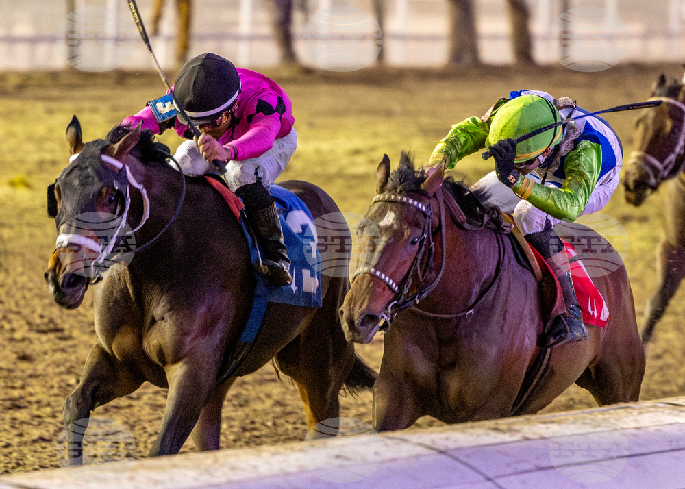 Fair Grounds Horse Racing