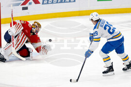 Blues Panthers Hockey