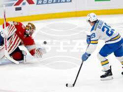 Blues Panthers Hockey