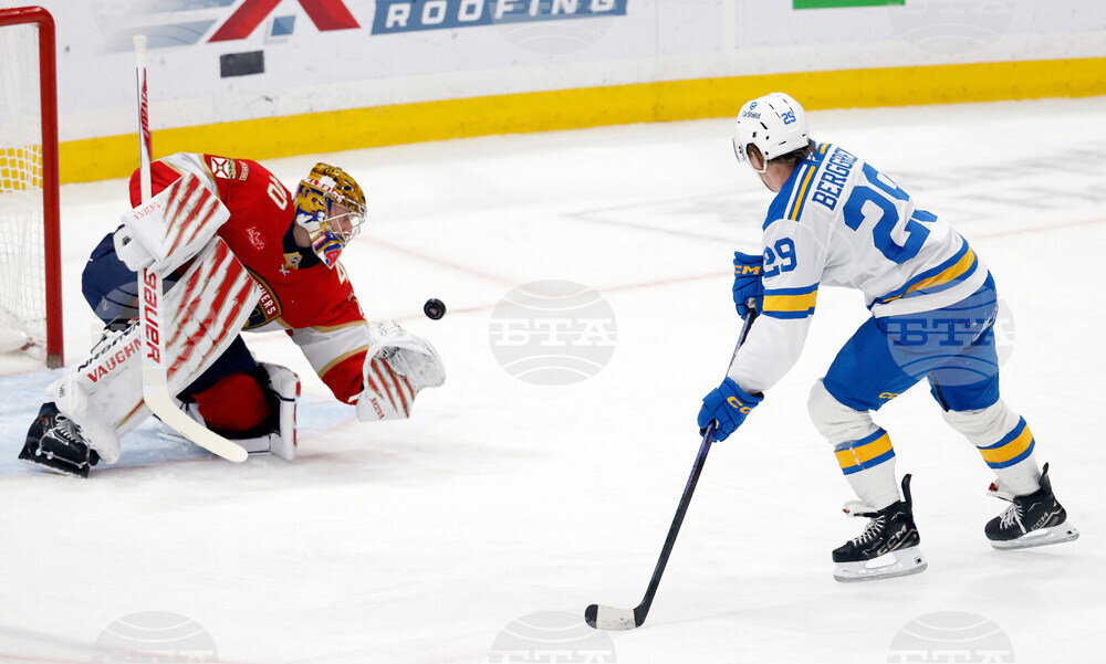 Blues Panthers Hockey