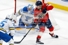 Blues Panthers Hockey