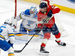 Blues Panthers Hockey