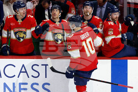 Blues Panthers Hockey