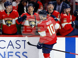 Blues Panthers Hockey