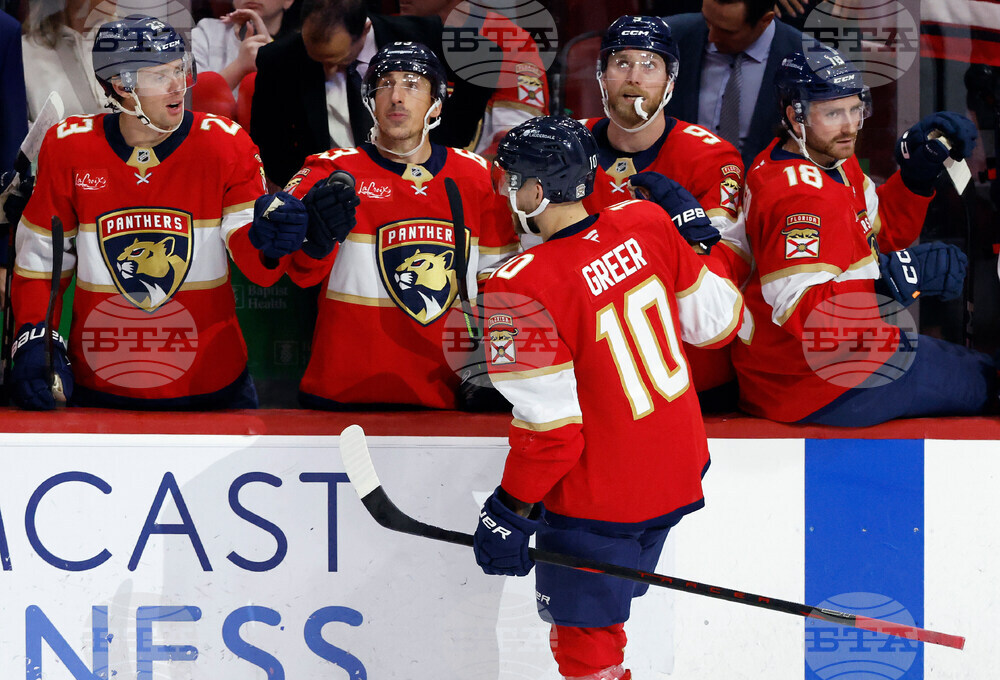 Blues Panthers Hockey