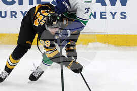Canucks Bruins Hockey