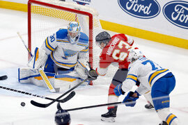 Blues Panthers Hockey