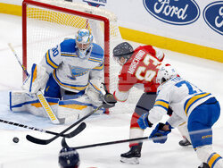 Blues Panthers Hockey