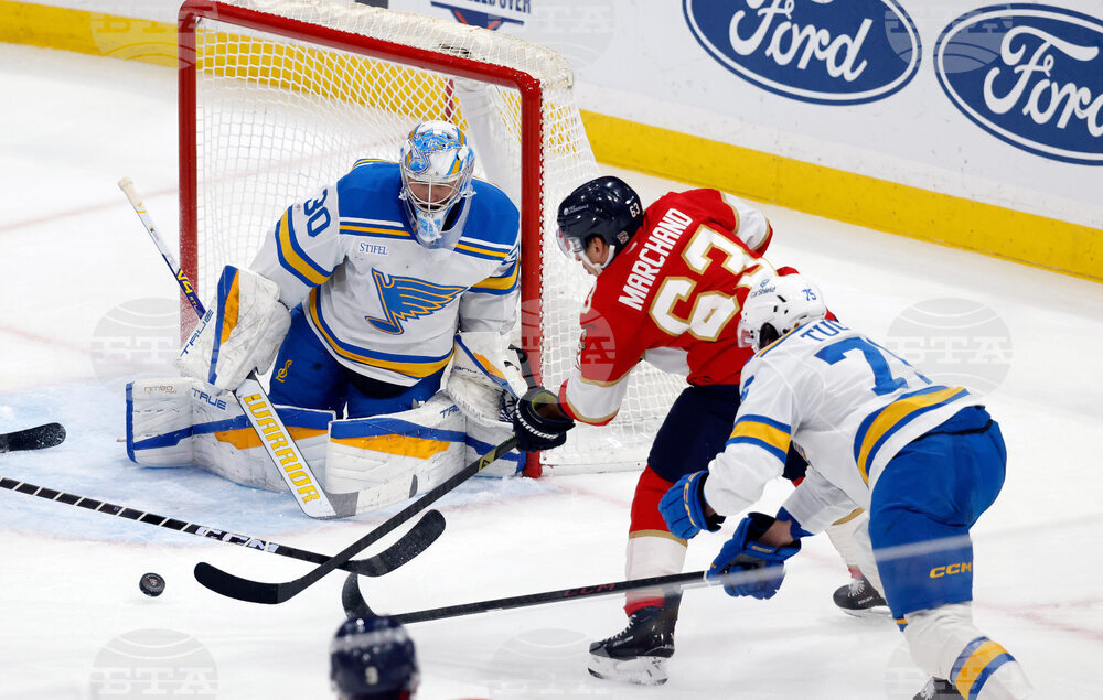 Blues Panthers Hockey