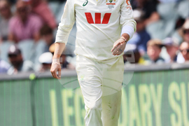 Australia England Cricket