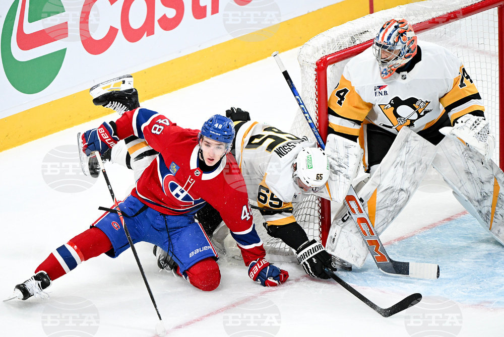 Penguins Canadiens Hockey